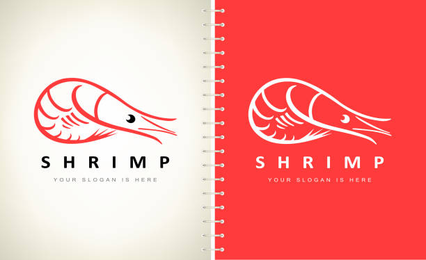 Shrimp vector design. Shrimp vector design. prawn animal stock illustrations