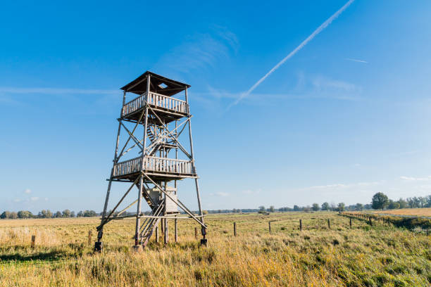 istock Lookout tower over the Szczecin Lagoon. 1166193053