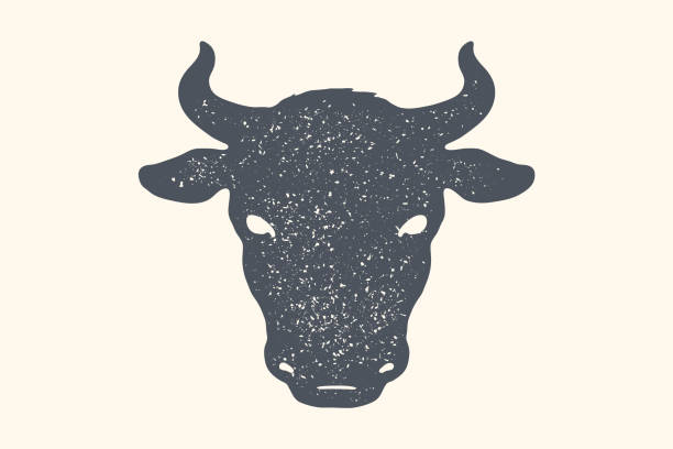 ilustrações de stock, clip art, desenhos animados e ícones de cow, bull. vintage retro print, poster, banner. black and white - bife ilustrações