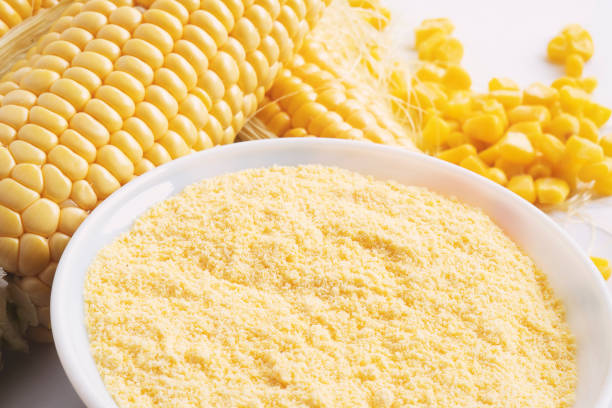 옥수수 씨앗과 흰색 배경에 잘 익은 옥수수 속과 옥수수 가루 - corn on the cob macro corn crop freshness 뉴스 사진 이미지