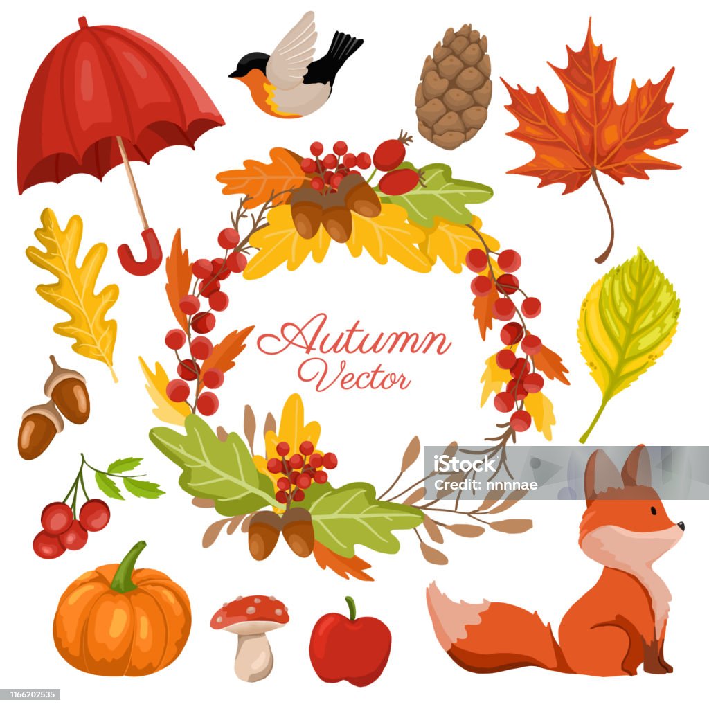 Autumn Leaves Isolated On Withe Background Stock Illustration ...