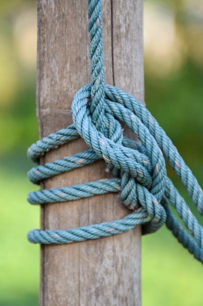 istock rope tied on wood pole 1166203676