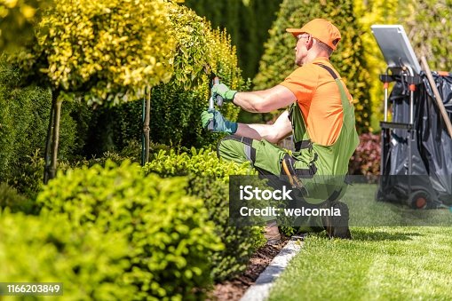 32,774 Garden Maintenance Stock Photos, Pictures & Royalty-Free Images -  iStock | Summer garden maintenance, Lawn and garden maintenance, Garden  maintenance turkey
