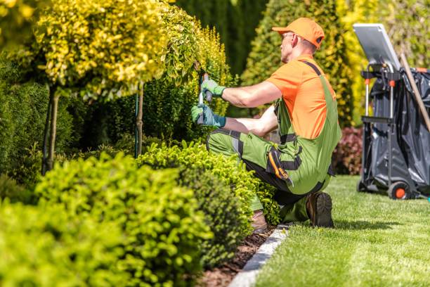 garden worker trimming plants - fence front or back yard flower ornamental garden imagens e fotografias de stock