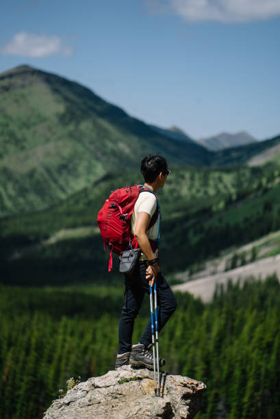 istock Female hiker on an adventure on a mountain looking out 1166204176