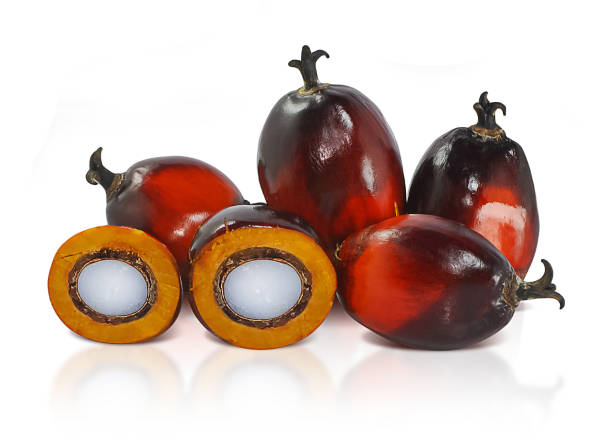 istock Palm oil fruit isolated on white background 1166204186