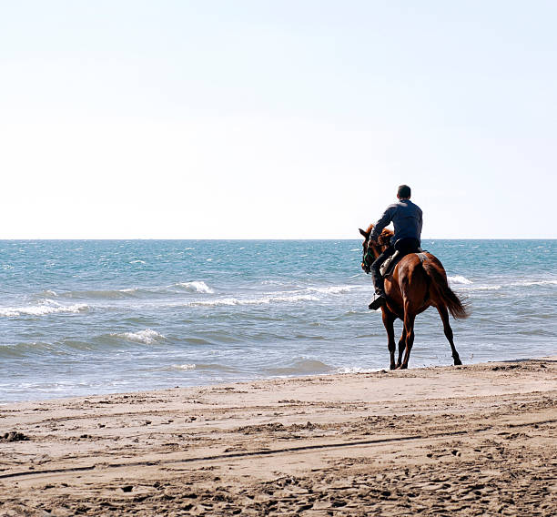 istock Horse riding at the beach 116620631