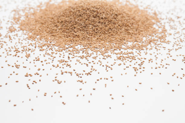 istock Sesame seeds isolated on white background 1166209638