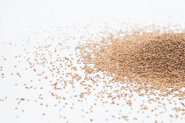 istock Sesame seeds isolated on white background 1166210228