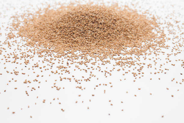 istock Sesame seeds isolated on white background 1166210848