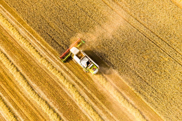 istock Harvesting. Agricultural machinery 1166213835