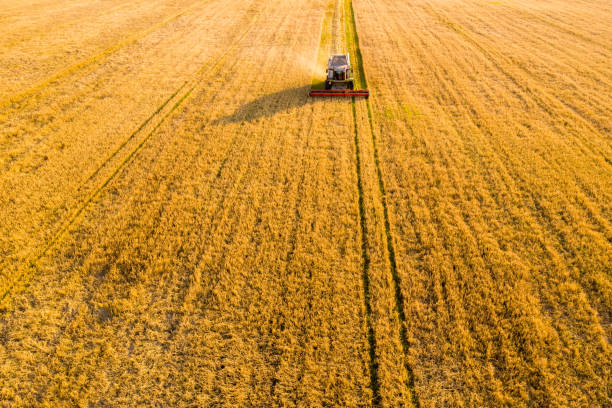 istock Harvesting background. Agricultural machinery 1166213860