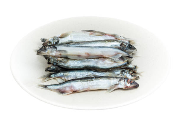 istock Frozen and freshly caught capelin closeup 1166215019