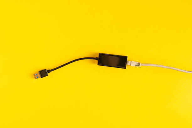 istock ethernet lan card wire  to connect to desktop computer 1166222461