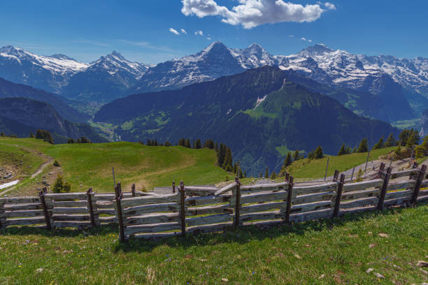 istock Mountains of the Suisse Alps 1166222504
