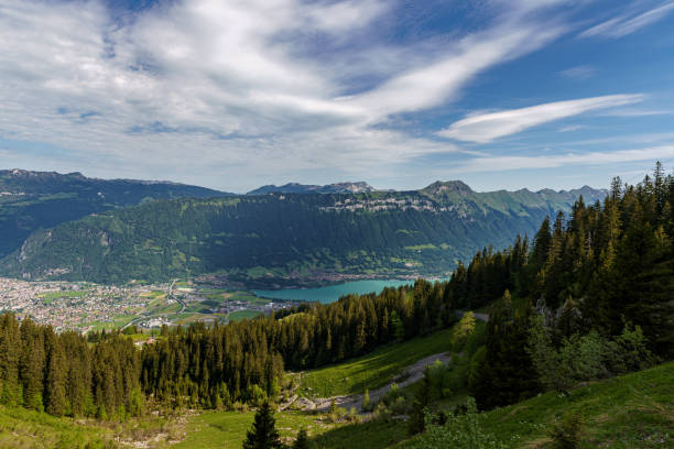 istock The Swiss Alps 1166222653