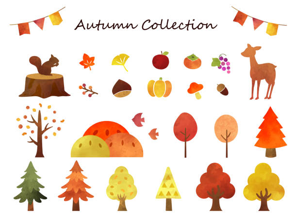 가을 컬렉션1 - chestnut pumpkin leaf autumn stock illustrations
