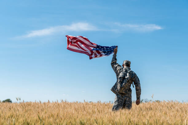 back view of soldier in military uniform standing in field with golden wheat and holding american flag back view of soldier in military uniform standing in field with golden wheat and holding american flag camouflage clothing photos stock pictures, royalty-free photos & images