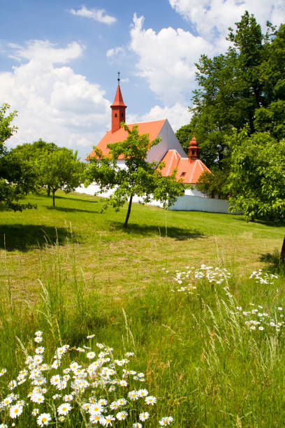 Rural scene with green grass and blue sky