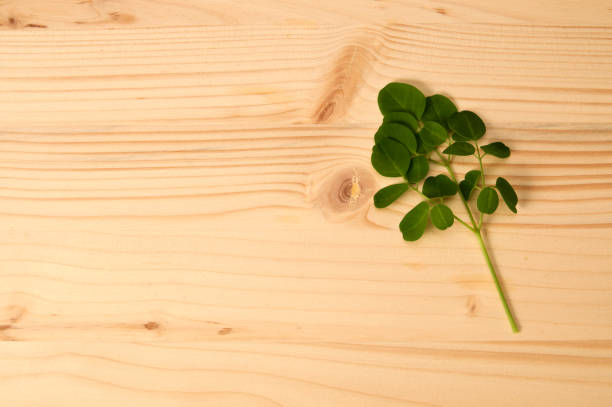 istock fresh leafed branch of moringa tree on wood 1166228192