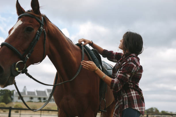 istock Equestrian woman preparing horse for ride 1166228233