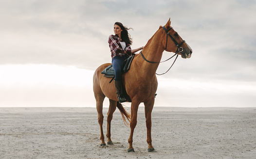 Full length of young woman on her horse at the beach.  Female equestrian on her horse standing at the sea shore in evening.
