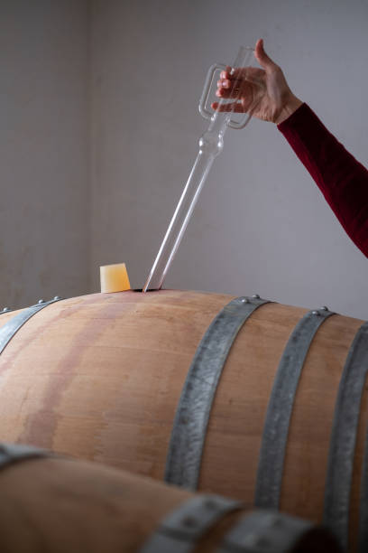 starzenie się czerwonego wina sprawdzone przez winiarza - alcohol wine barrel la rioja zdjęcia i obrazy z banku zdjęć