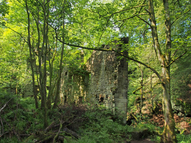 istock a ruined ancient stone building surrounded by green forest trees in bright sunlight originally called staups mill in west yorkshire 1166229239