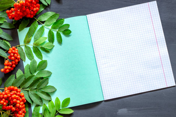 istock Squared notebook, leaves and rowan berries on a dark board. Background by September 1. Back to school. 1166229946