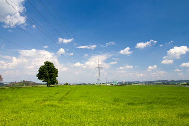 istock Rural landscape with green grass and blue sky 1166230169