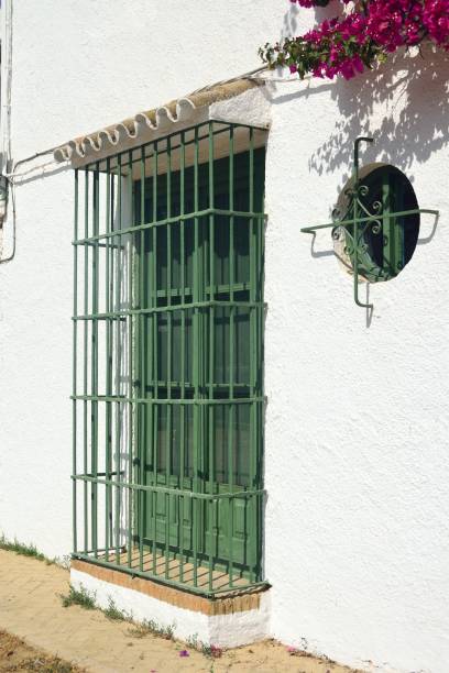 istock Buganvilla through the streets of El Rocio, Huelva 1166230233