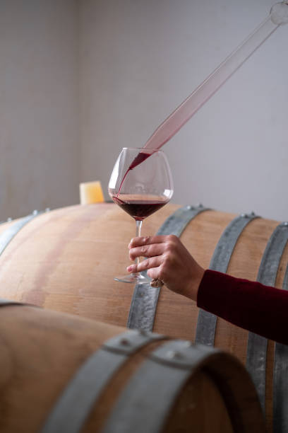 starzenie się czerwonego wina sprawdzone przez winiarza - alcohol wine barrel la rioja zdjęcia i obrazy z banku zdjęć