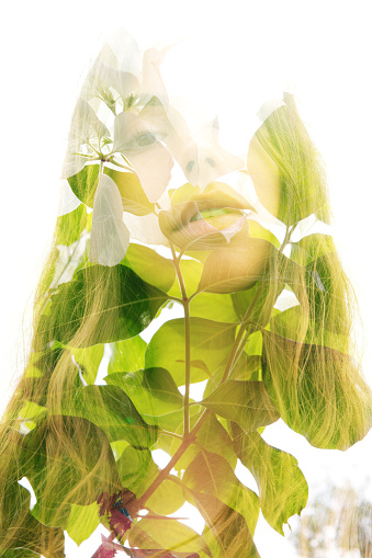 Double exposure with an ecological concept showcasing the beauty of nature