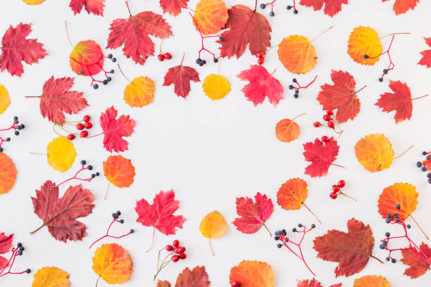 istock Flat lay pattern with colorful autumn leaves and berries on a white background 1166241158