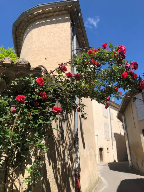 istock Summer in Provence, France 1166241243
