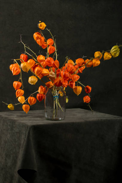 istock Still life with a branch of Physalis in a black bottle 1166243781