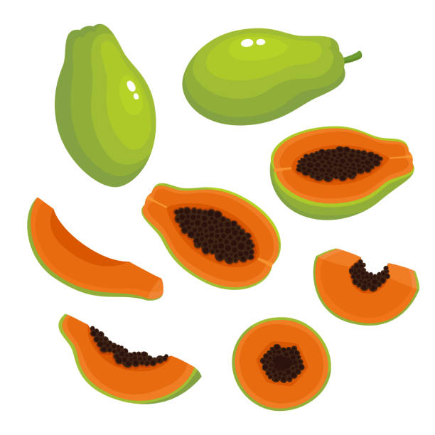 832 Papaya Tree Illustrations & Clip Art - iStock | Papaya tree isolated