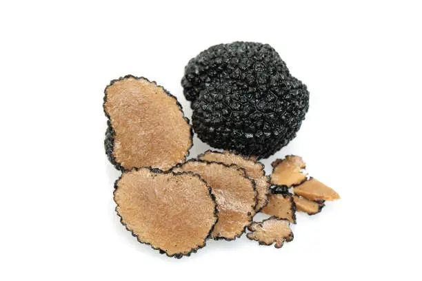 Photo of Truffle mushroom. Black gourmet truffle mushroom and slices isolated on white background