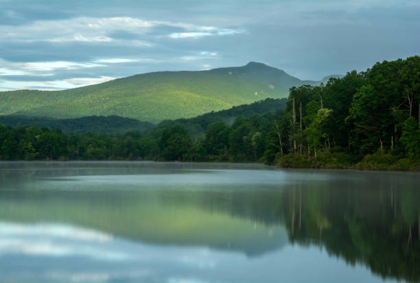 istock Morning Light Along Price Lake 1166251123