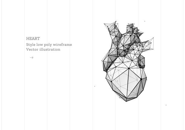 38,200+ Human Heart Shape Stock Photos, Pictures & Royalty-Free