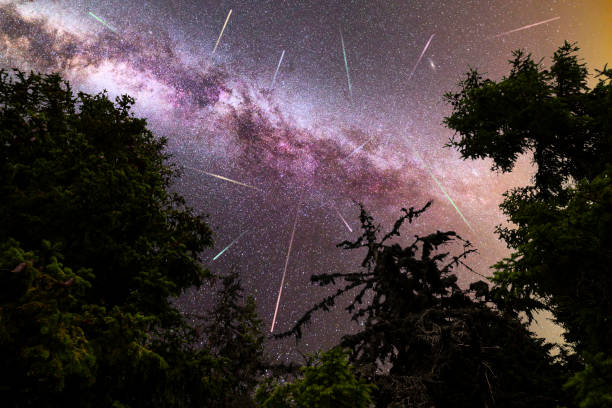 istock Purple Milky way falling stars pine trees silhouette 1166254523