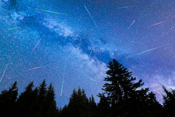 istock Blue Milky way falling stars pine trees silhouette 1166254540