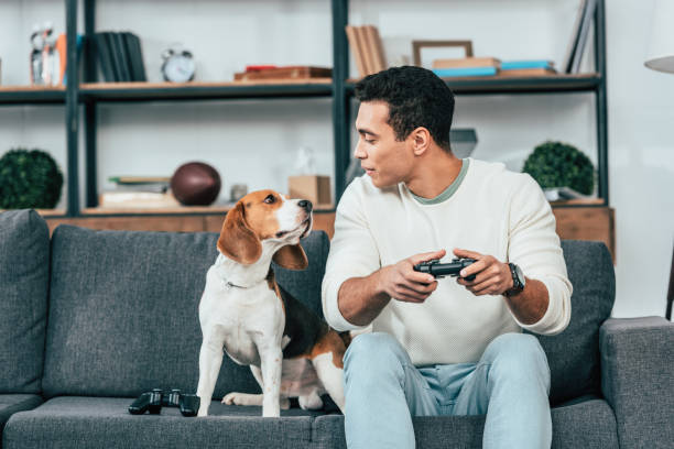 istock Smiling young man with gamepad sitting on sofa and looking at dog 1166254599
