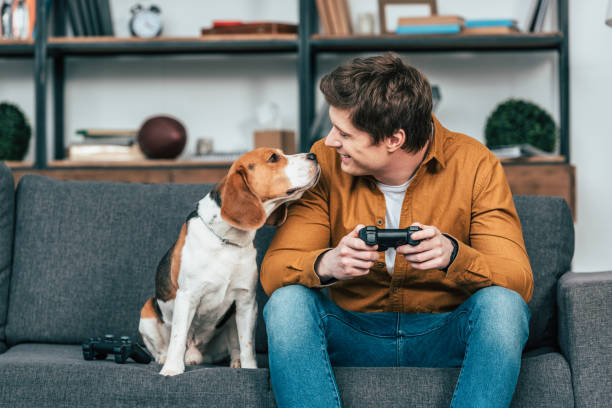 istock Smiling young man with gamepad sitting on sofa and looking at dog 1166254656