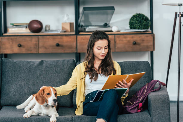 istock Charming student reading notebook and stroking dog in living room 1166254840