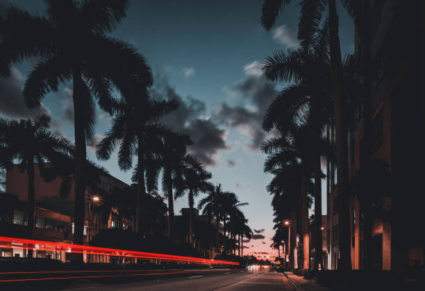 istock Lanes of Light, Street, Miami, Night 1166256749