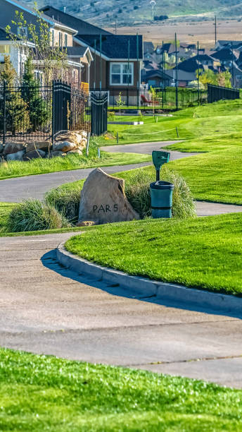 istock Vertical frame Narrow paved road that winds through vast grassy terrain viewed on a sunny day 1166259004