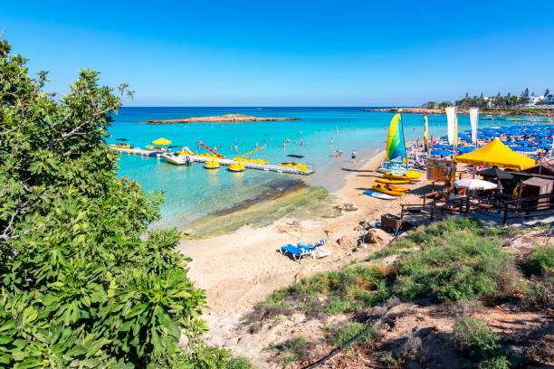 feigenbaum bucht strand in protaras, zypern - sea fig stock-fotos und bilder