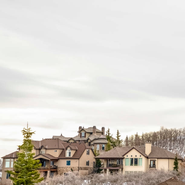 istock Square Luxurious multi storey homes on a snow covered mountain under overcast sky 1166259349