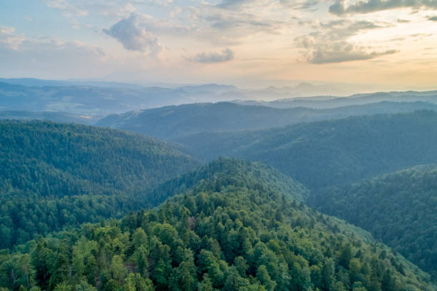 istock Sunset in the mountains. Forests and white clouds in the sky_1 1166259423